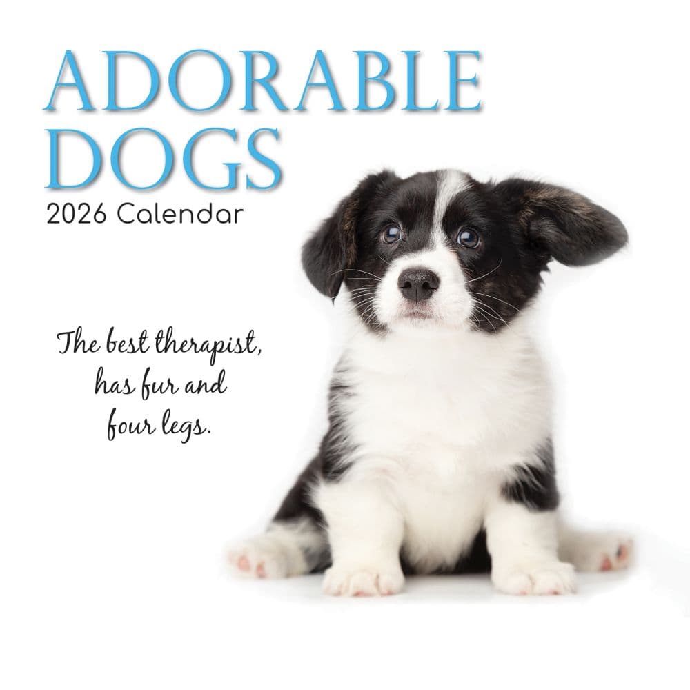 Adorable Dogs 2026 Wall Calendar Main Image
