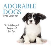 image Adorable Dogs 2026 Wall Calendar Main Image