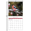 image Songbirds 2025 Wall Calendar