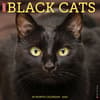 image Black Cats 2025 Wall Calendar   Main Image