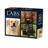 image Just Labs 2025 Desk Calendar