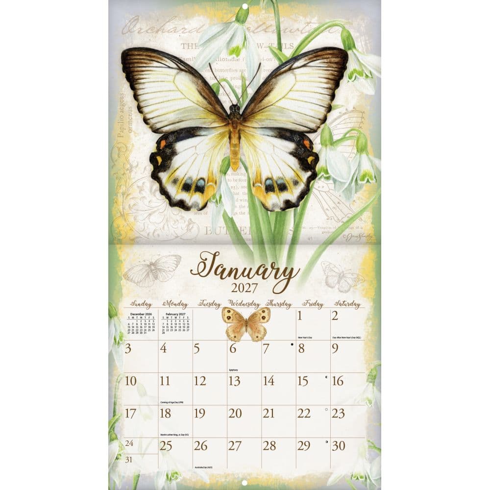 Butterflies 2027 Wall Calendar by Jane Shasky Second Alternate Image