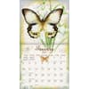 image Butterflies 2027 Wall Calendar by Jane Shasky Second Alternate Image