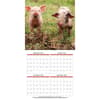 image Baby Animals Photo 2025 Wall Calendar Third Alternate Image width="1000" height="1000"