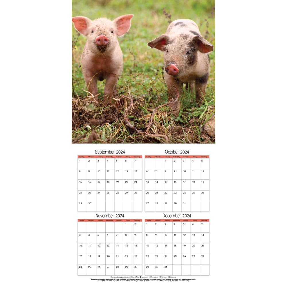 Baby Animals Photo 2025 Wall Calendar Third Alternate Image width="1000" height="1000"