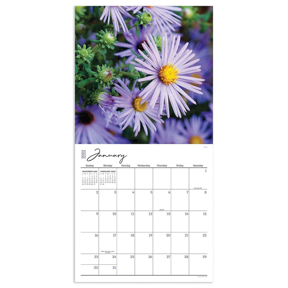 2022 Wall Calendar with Flowers by Coolendar 