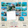 image Hawaiian Sea Turtles 2024 Wall Calendar First Alternate Image width=&quot;1000&quot; height=&quot;1000&quot;