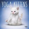 image Yoga Kittens 2024 Mini Wall Calendar Main Product Image width=&quot;1000&quot; height=&quot;1000&quot;