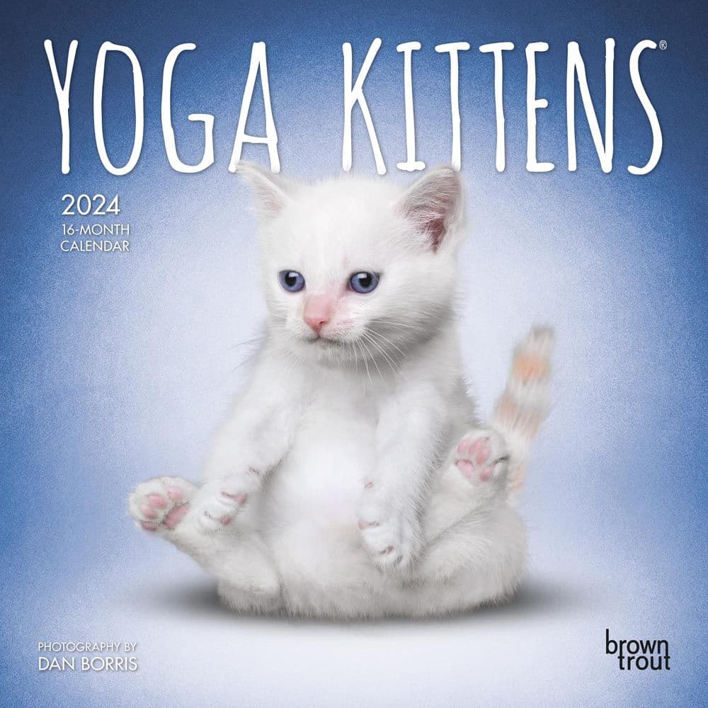 Yoga Kittens 2024 Mini Wall Calendar Main Product Image width=&quot;1000&quot; height=&quot;1000&quot;