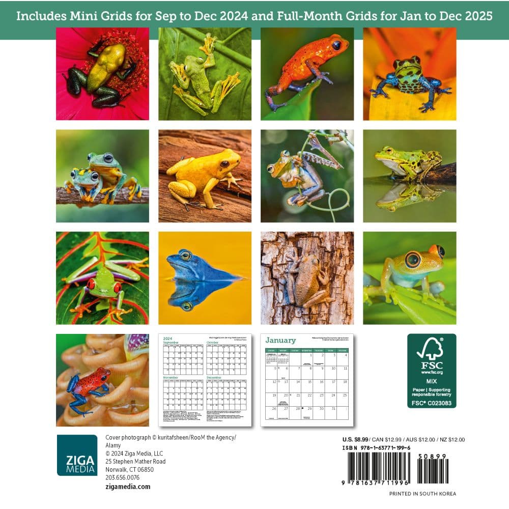 Frogs 2025 Mini Wall Calendar