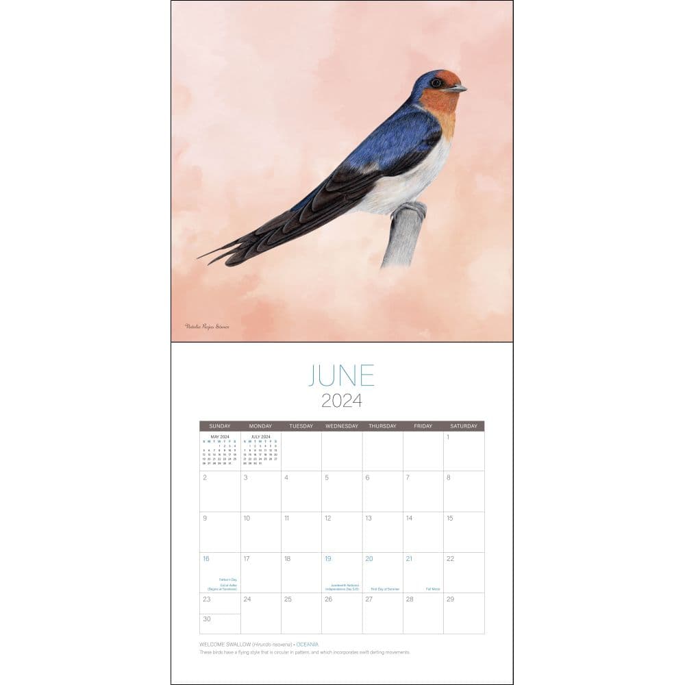 Birds of the World 2024 Wall Calendar Second Alternate Image width=&quot;1000&quot; height=&quot;1000&quot;
