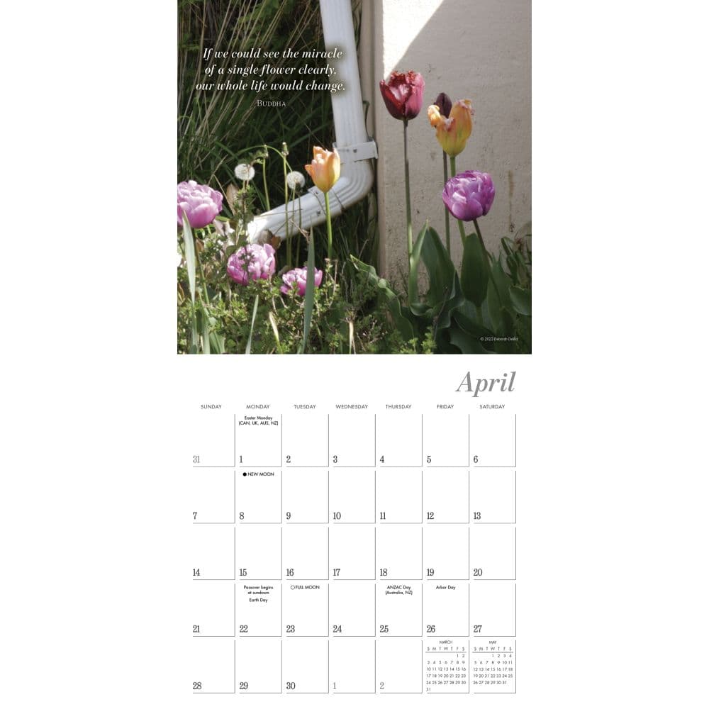 Simplicity 2024 Mini Wall Calendar