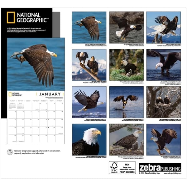 Eagles National Geographic 2021 Wall Calendar - Calendars.com