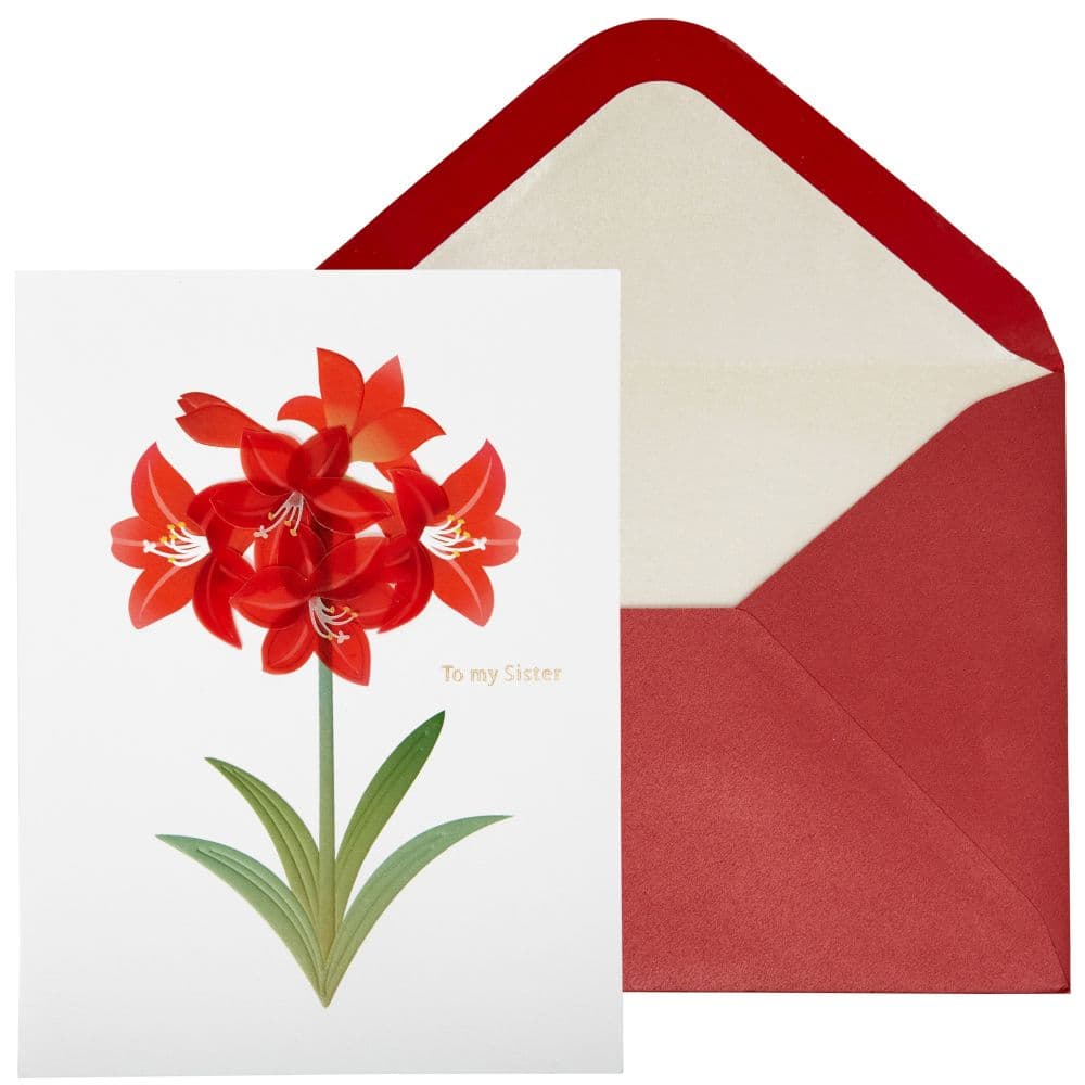 Vellum Amaryllis Christmas Card Main Product Image width="1000" height="1000"