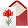 image Vellum Amaryllis Christmas Card Main Product Image width=&quot;1000&quot; height=&quot;1000&quot;