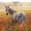 image Horses 2025 Wall Calendar Main Product Image width=&quot;1000&quot; height=&quot;1000&quot;