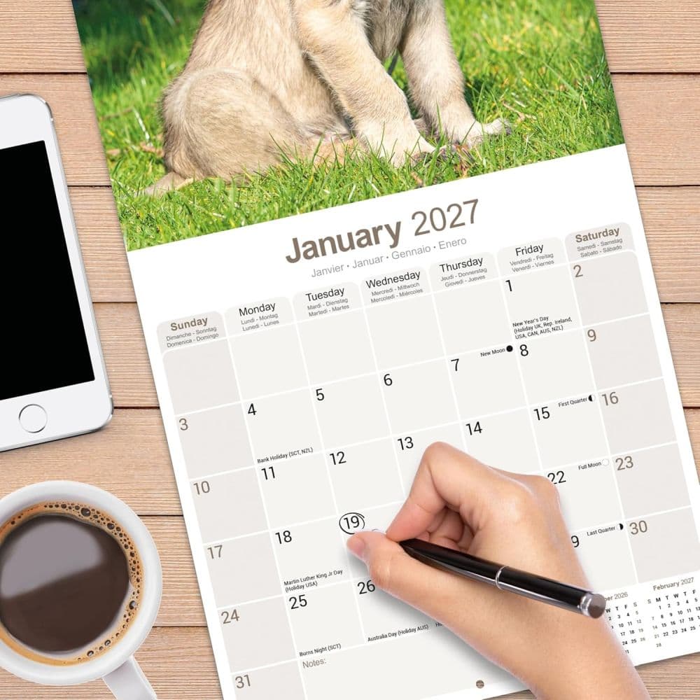 Irish Wolfhound 2027 Wall Calendar Fourth Alternate Image