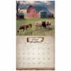 image Cows 2027 Wall Calendar Third Alternate Image