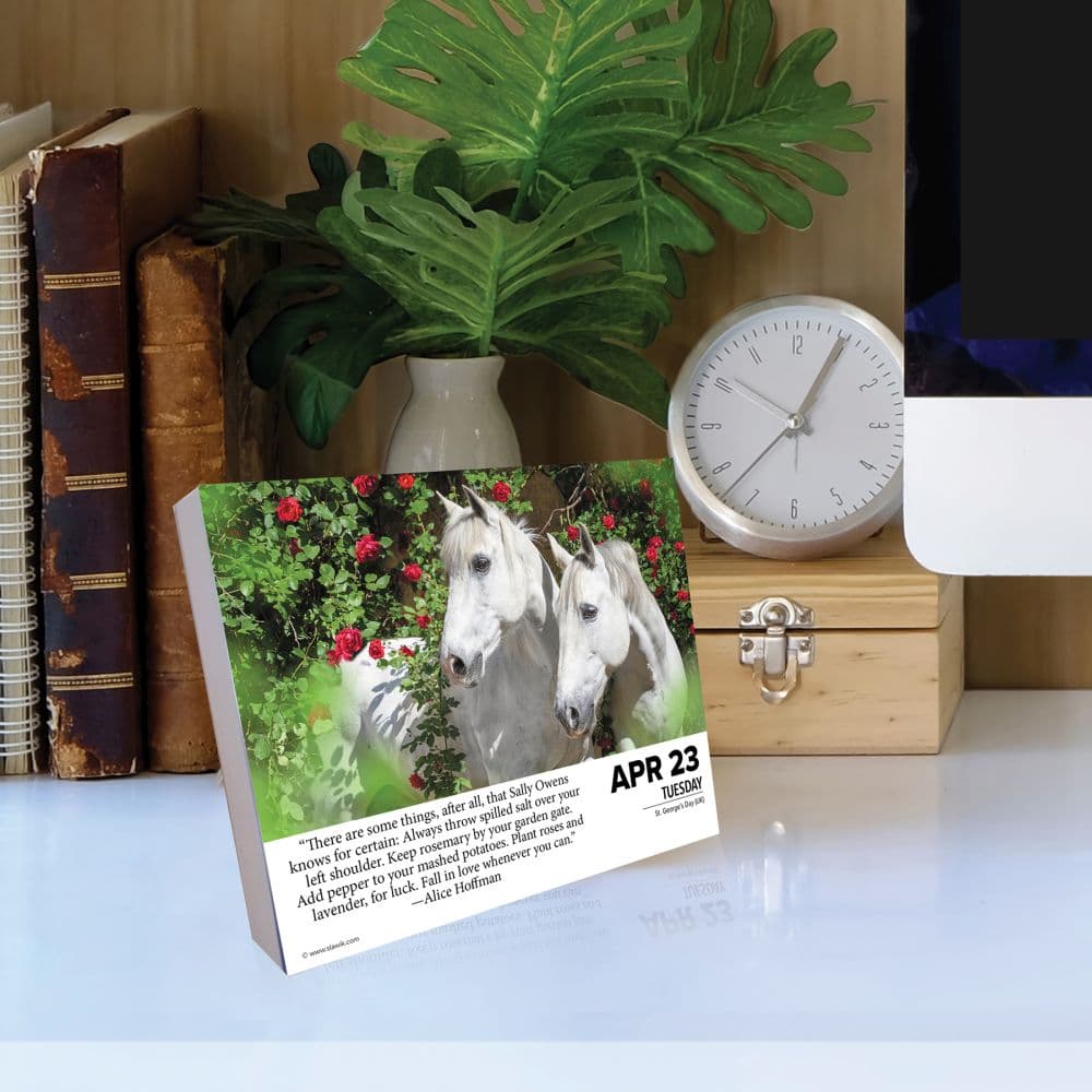 What Horses Teach Us 2024 Desk Calendar