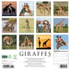 image Giraffes 2026 Wall Calendar First Alternate Image