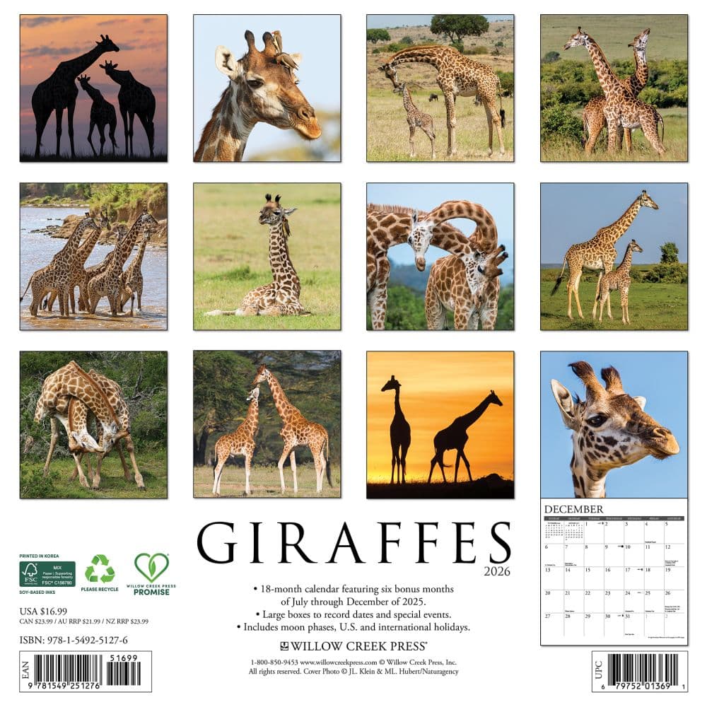 Giraffes 2026 Wall Calendar First Alternate Image