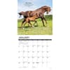 image Seize The Hay 2025 Wall Calendar Second Alternate Image width="1000" height="1000"