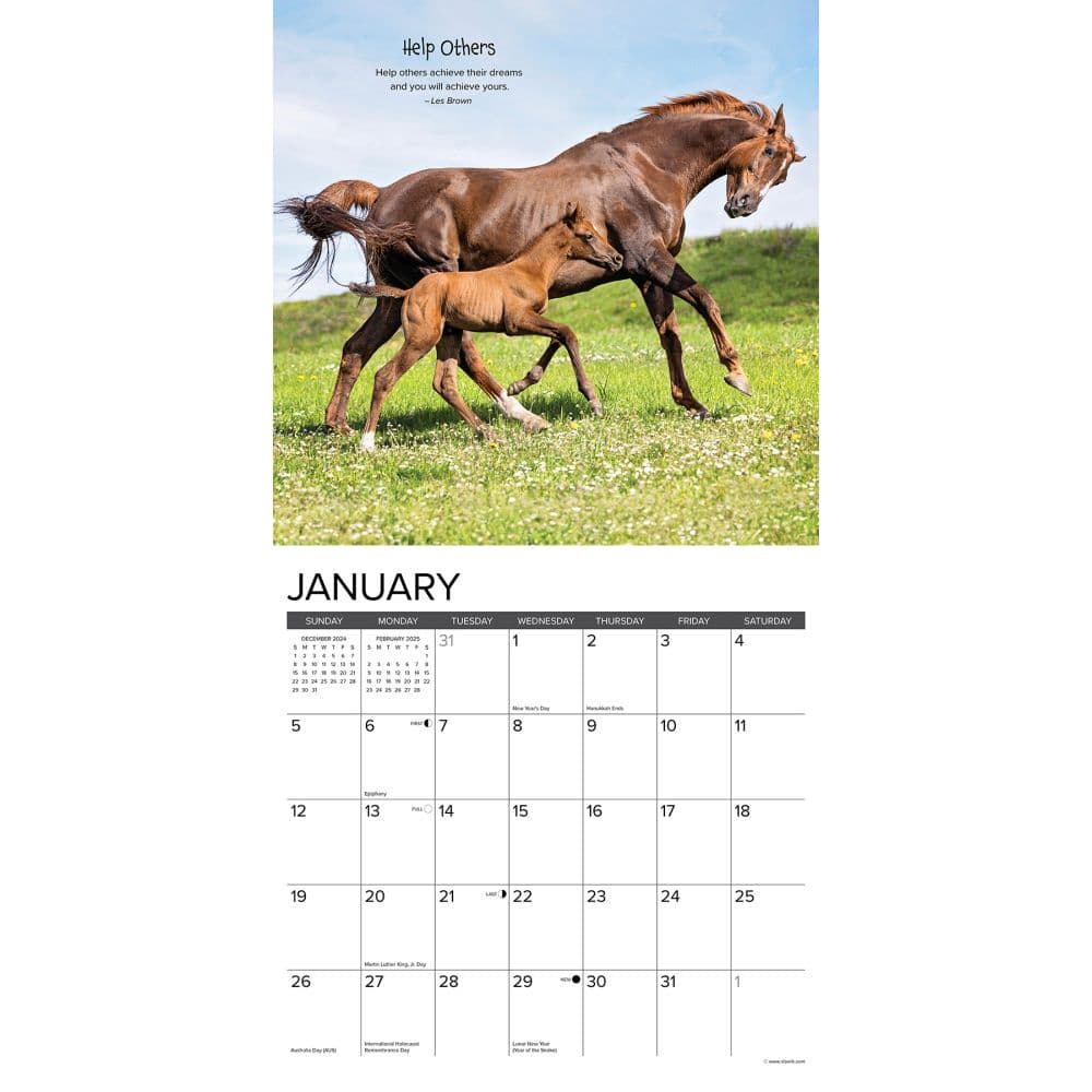 Seize The Hay 2025 Wall Calendar Second Alternate Image width="1000" height="1000"