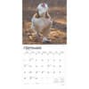 image Chickens 2025 Wall Calendar