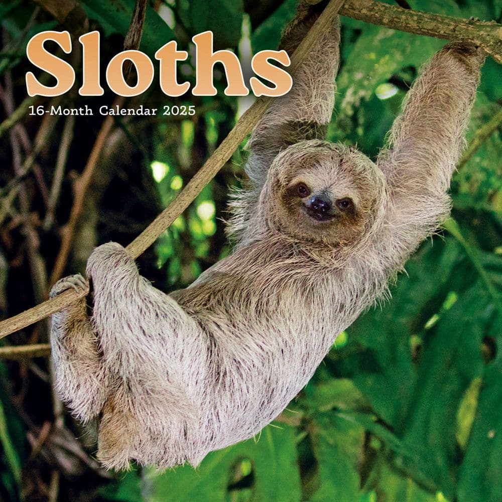 Sloths 2025 Mini Wall Calendar