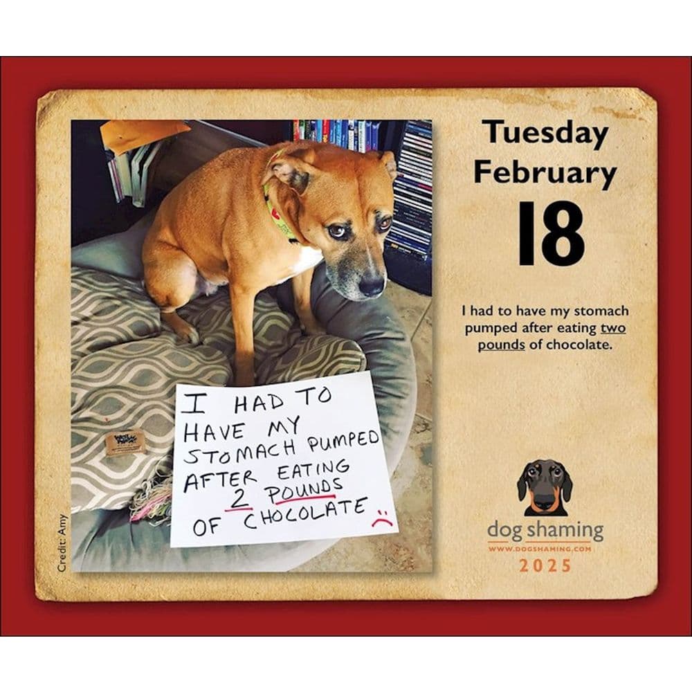 Dog Shaming 2025 Desk Calendar