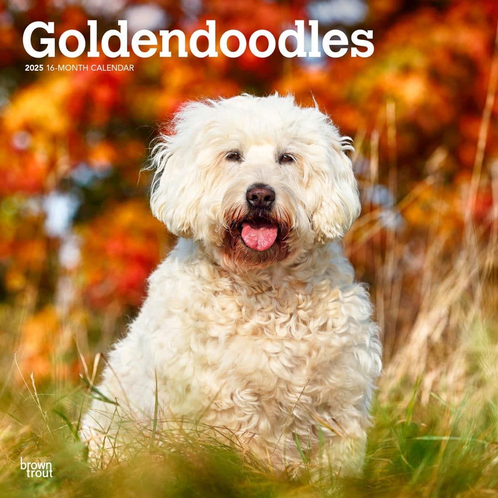 Goldendoodles 2025 Wall Calendar