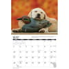 image Labs Afield 2026 Wall Calendar Second Alternate Image