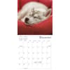 image Pooped Puppies 2024 Wall Calendar Alternate Image 3