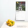 image Schnauzers 2025 Wall Calendar Fourth Alternate Image