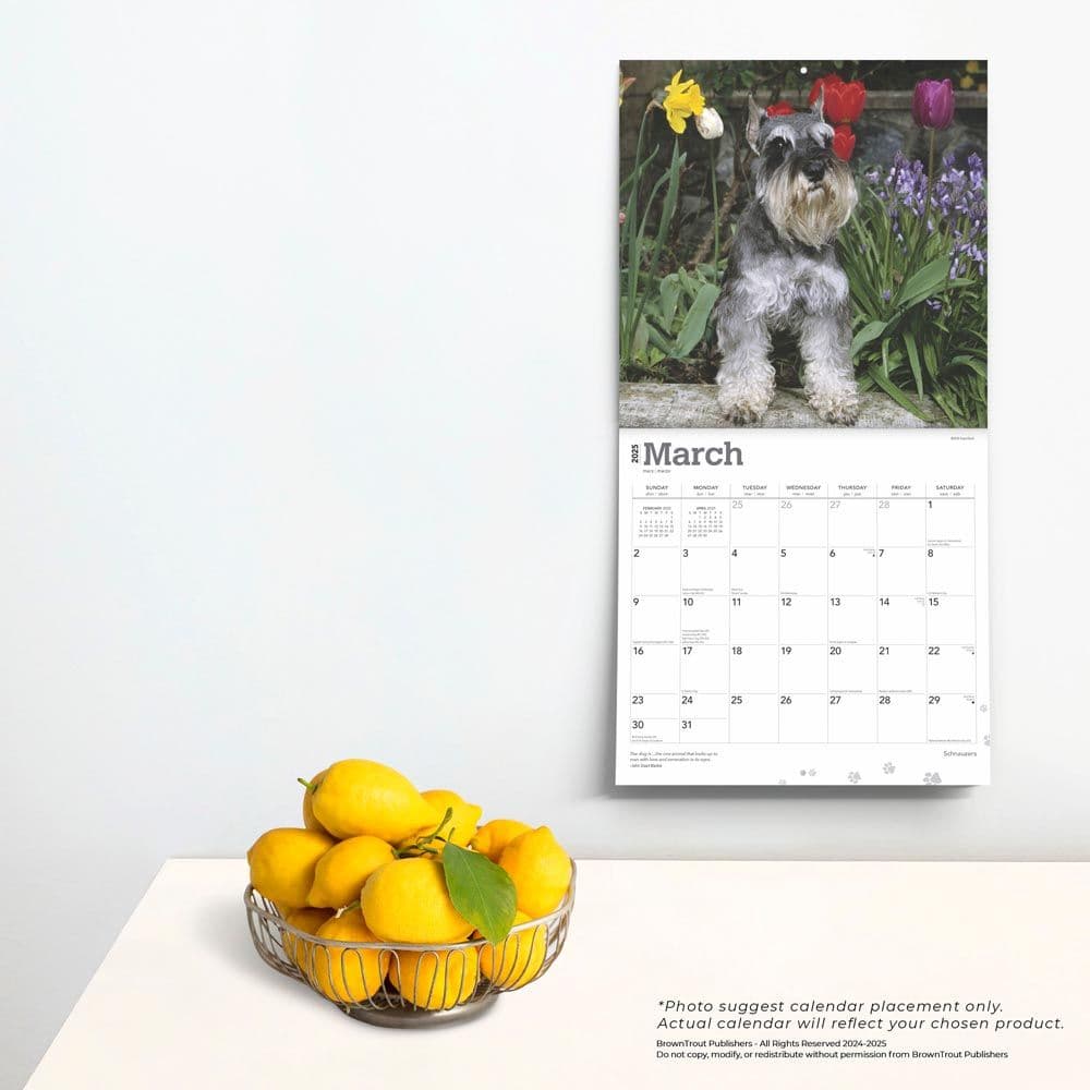 Schnauzers 2025 Wall Calendar Fourth Alternate Image