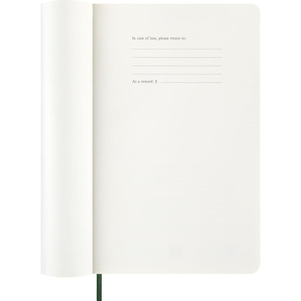 Moleskine Soft Cover Large Myrtle 2026 Daily Planner Fourth Alternate Image