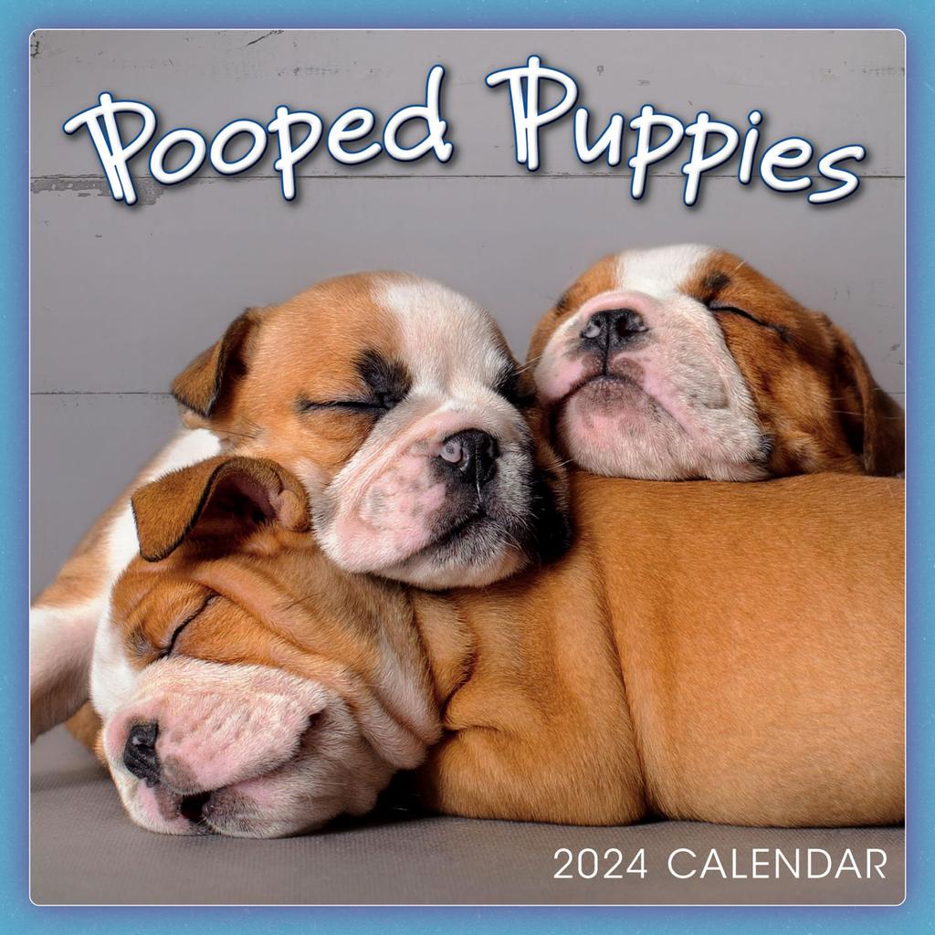 Pooped Puppies 2024 Mini Wall Calendar Main Image