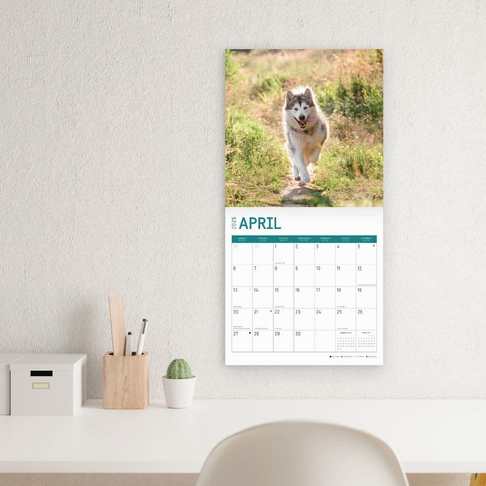 Alaskan Malamutes 2025 Wall Calendar Third Alternate Image width="1000" height="1000"