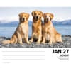 image Dogs 2025 Desk Calendar