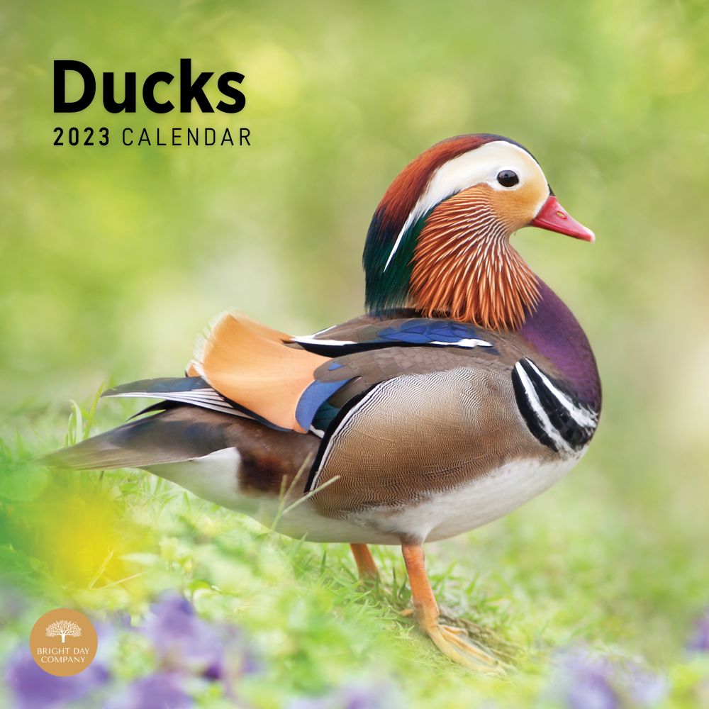 Bright Day Calendars Ducks 2023 Wall Calendar