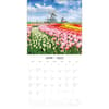 image Windmills of Holland 2025 Wall Calendar