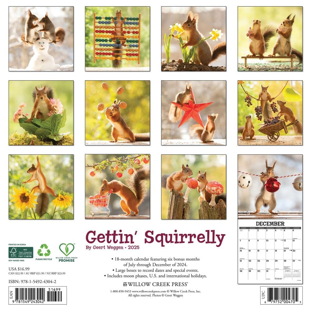 Getting Squirrelly 2025 Wall Calendar First Alternate Image width="1000" height="1000"