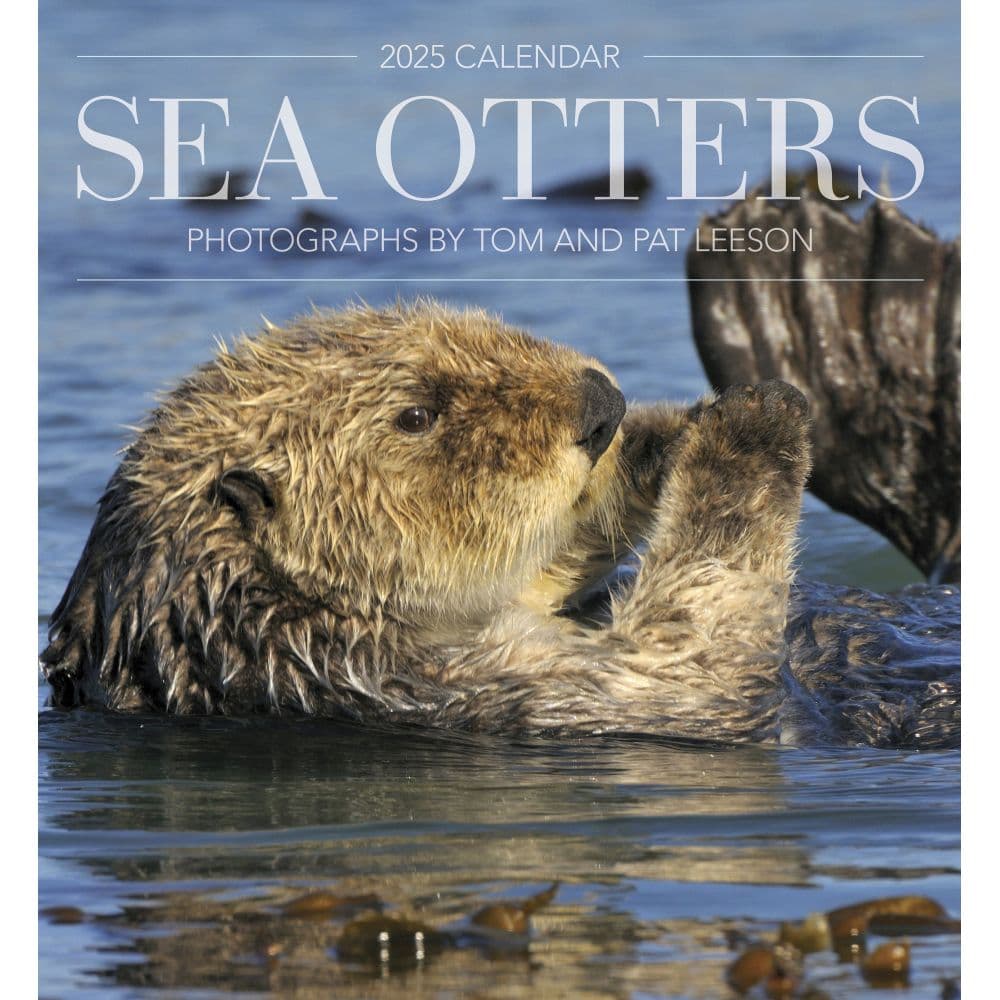 Sea Otters 2025 Wall Calendar  Main Image