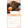 image Sleepy Puppies 2026 Mini Wall Calendar Second Alternate Image