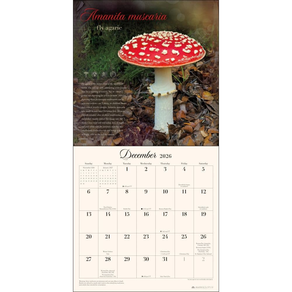 Miraculous Mushroom 2026 Wall Calendar Third Alternate Image