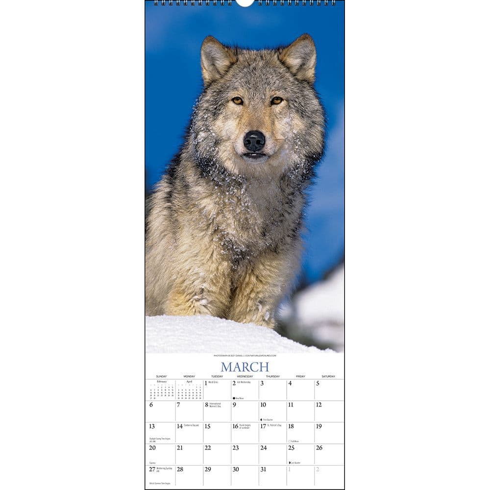 wolf-calendar-2022-november-2022-calendar