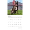 image Just American Pit Bulls 2025 Wall Calendar