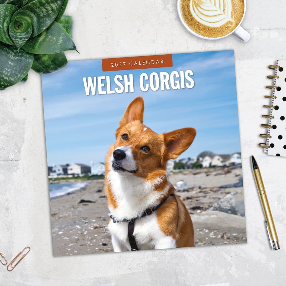 Welsh Corgis 2027 Wall Calendar Fourth Alternate Image