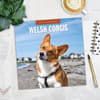 image Welsh Corgis 2027 Wall Calendar Fourth Alternate Image