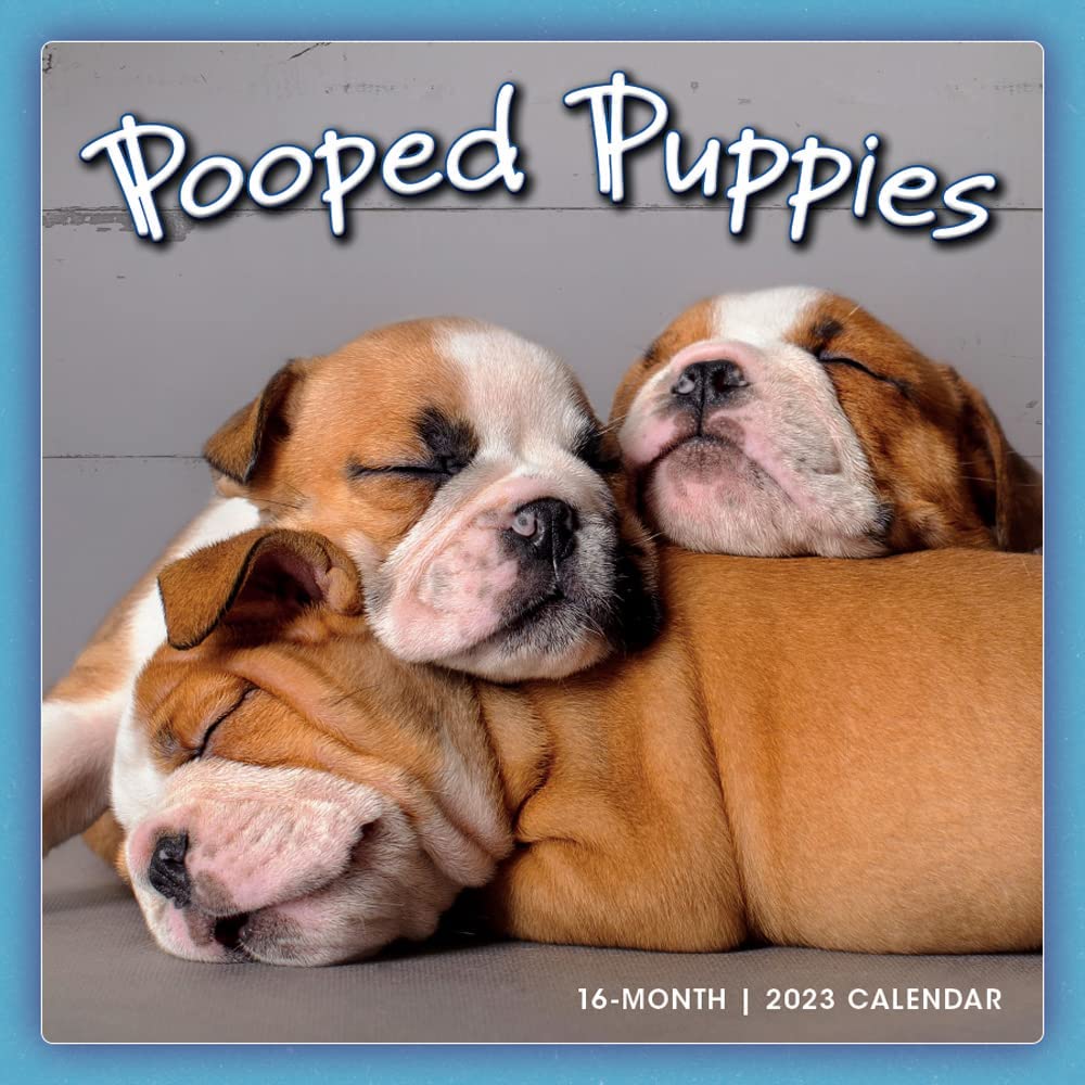 Sellers Publishing Pooped Puppies 2023 Wall Calendar